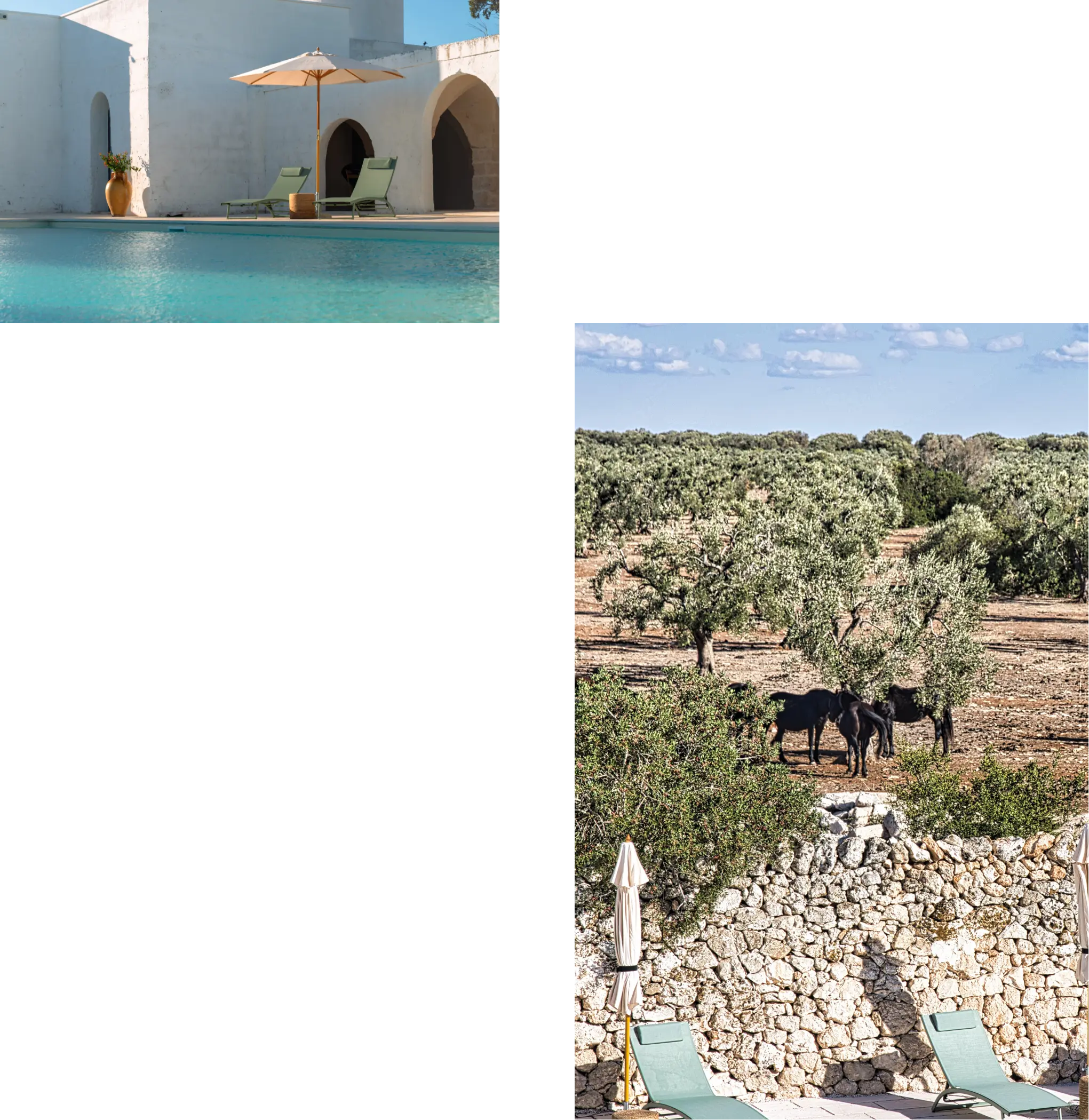 Piscina della Masseria Rescio con vista sulla struttura bianca e cielo azzurro